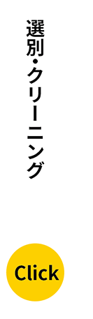 選別・クリーニング